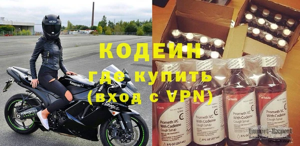 индика Липки