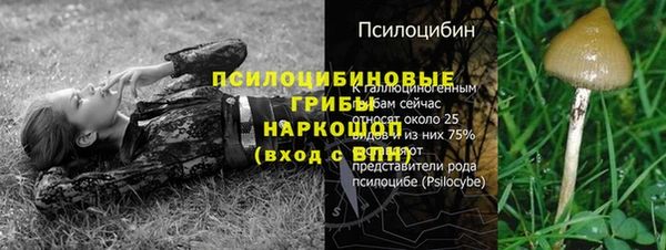 индика Липки