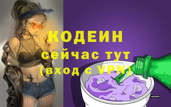 индика Липки